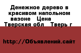  Денежное дерево в красивом напольном вазоне › Цена ­ 400 - Тверская обл., Тверь г.  »    